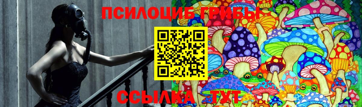 Псилоцибиновые грибы GOLDEN TEACHER Ангарск
