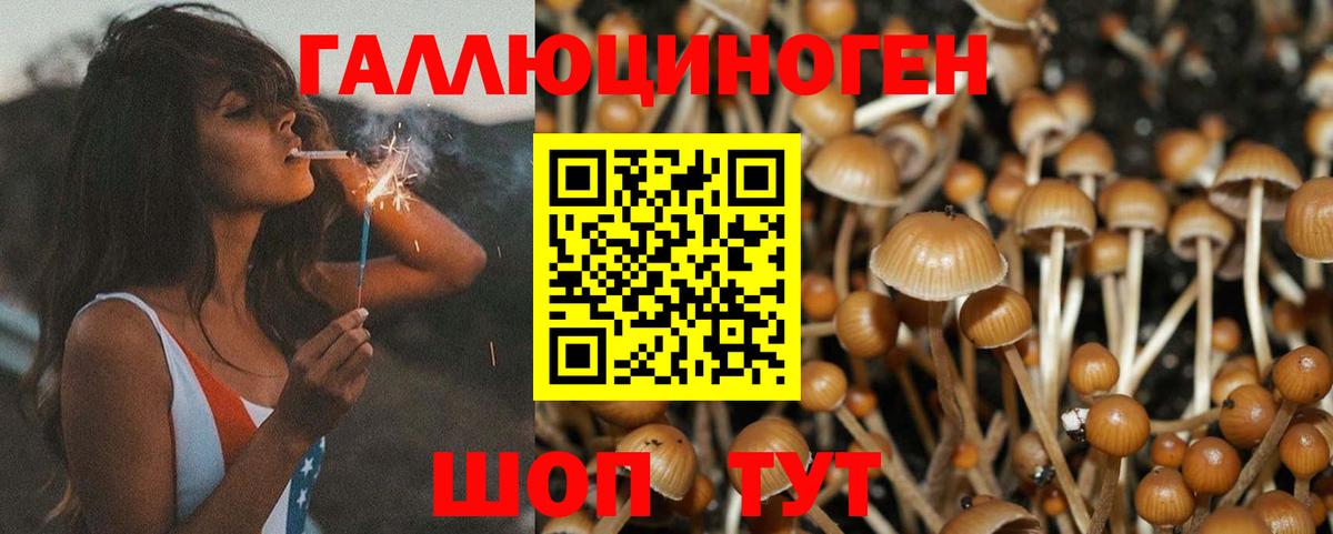 Псилоцибиновые грибы MAGIC MUSHROOMS  Галлюциногенные грибы ЛСД  Ангарск  Вход с VPN 